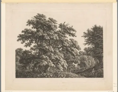 Bosrijk landschap met meisje dat in het water staat
