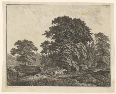 Bosrijk landschap met ruiter