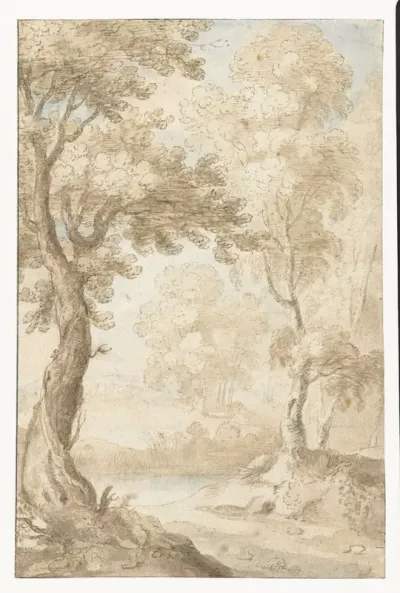 Bosrijk landschap met water