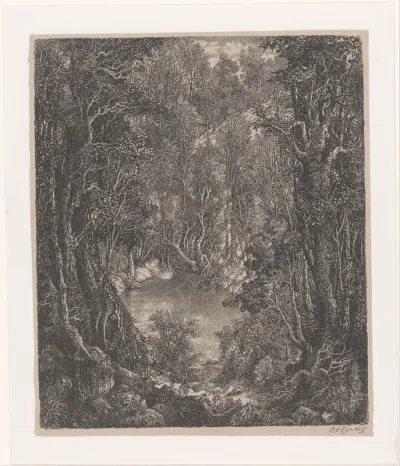 Bosvijver