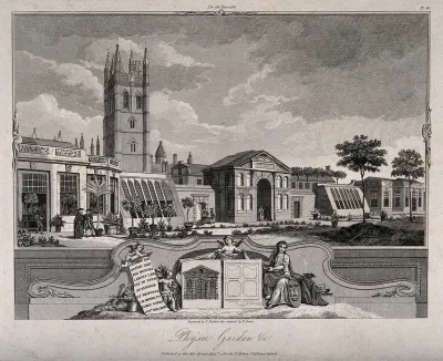 Botanic Garden, Oxford: panoramic view of the greenhouses with a small ornamental detail of the gates and plans