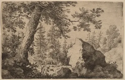 Boulder in the Woods