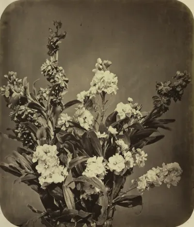 Bouquet