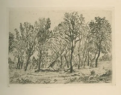 Bouquet d'arbres, MPM.V.V.261.003