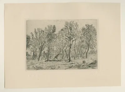 Bouquet d'arbres, PK.MP.04891