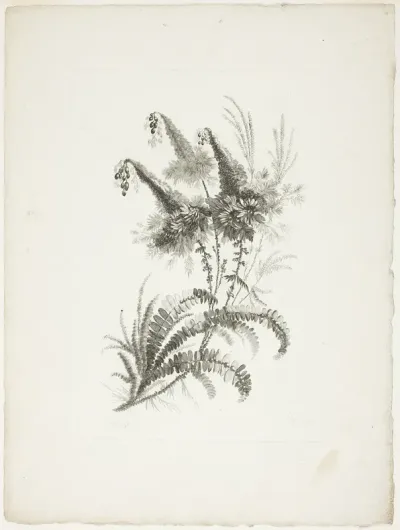 Bouquet, from Collection of New Flowers of Taste for the Manufacture of Persian Cloth, Invented and Drawn by Jean Pillement