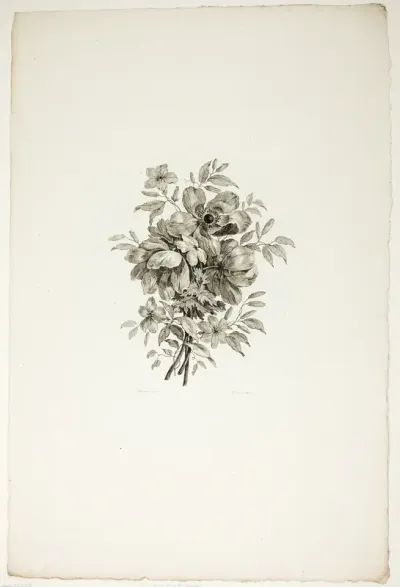 Bouquet with Poppies, from Collection of Different Bouquets of Flowers, Invented and Drawn by Jean Pillement and Engraved by P. C. Canot