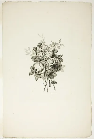 Bouquet with Roses, from Collection of Different Bouquets of Flowers, Invented and Drawn by Jean Pillement and Engraved by P. C. Canot