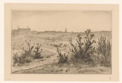 Braamstruiken in de duinen