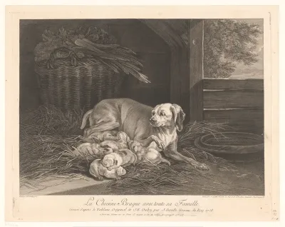 Bracke-hond met jongen in een stal