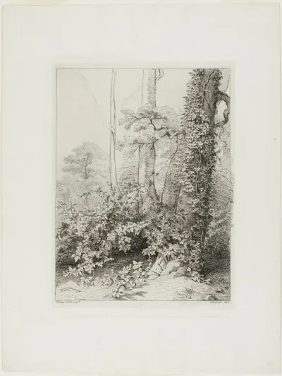 Bramble and Ivy