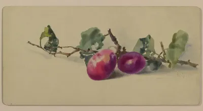 Branch with plums