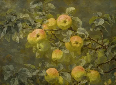 Branches with apples.