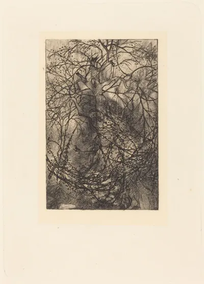 Branches