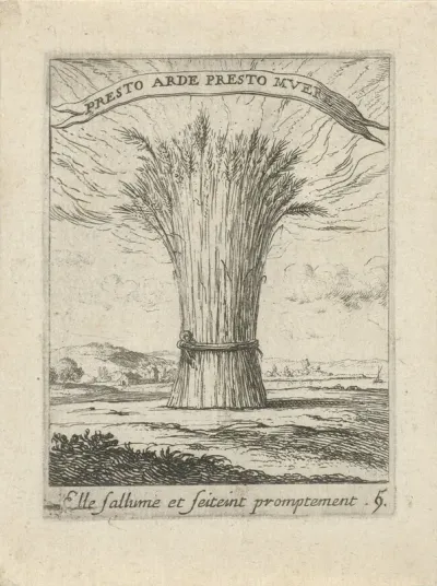 Brandende korenschoof