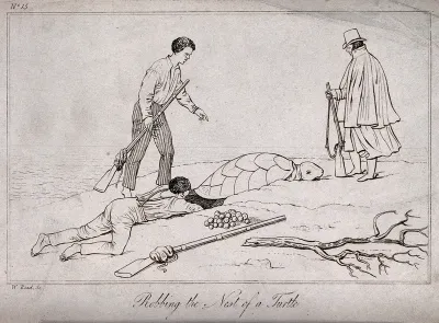 Brazil: a member of the Von Wied expedition is digging into a turtle's nest to get at the eggs, another man wearing a long cape and a hat (Maximilian Prinz von Wied?) stands nearby, watching