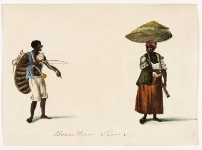Brazillian Slaves