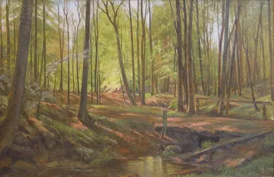Bridge over a stream in a forest at springtime.