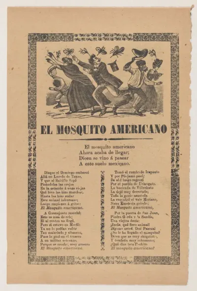 Broadsheet relating to the American Mosquito