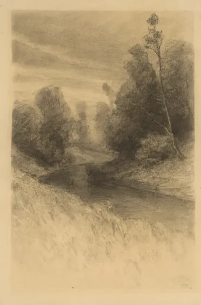 Brook