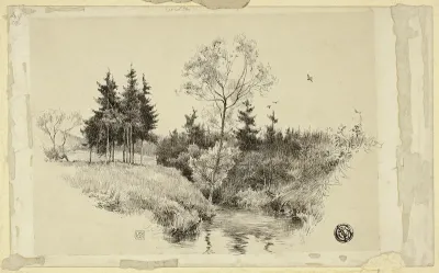 Brook in Forest