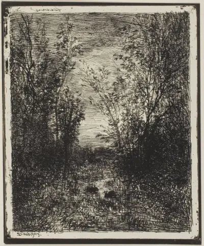 Brook in the Clearing