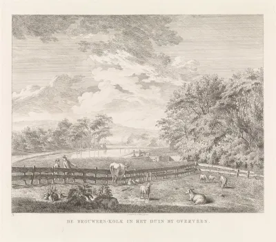 Brouwerskolk bij Overveen