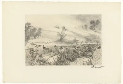 Brumes du matin