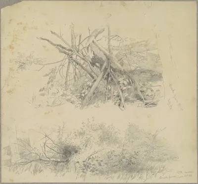 Brush; and Hudson Brush Fence