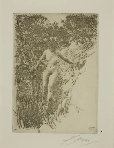 Brushwood