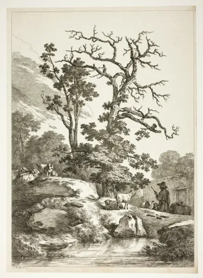 Bucolic Scene