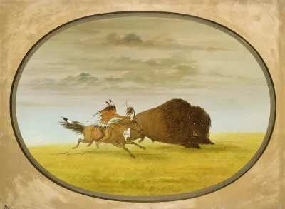 Buffalo Chase