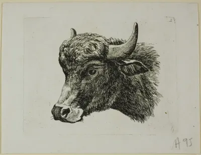 Buffalo Head Facing Left, from Die Zweite Thierfolge
