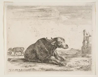 Buffalo lying down, plate 13 from "Various Animals" (Diversi Animali)