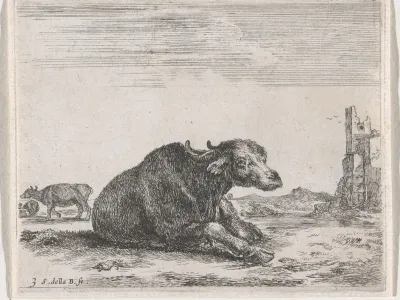Buffels