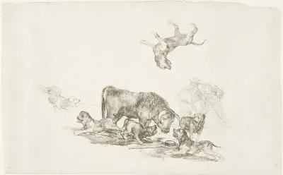 Bull Attacked by Dogs