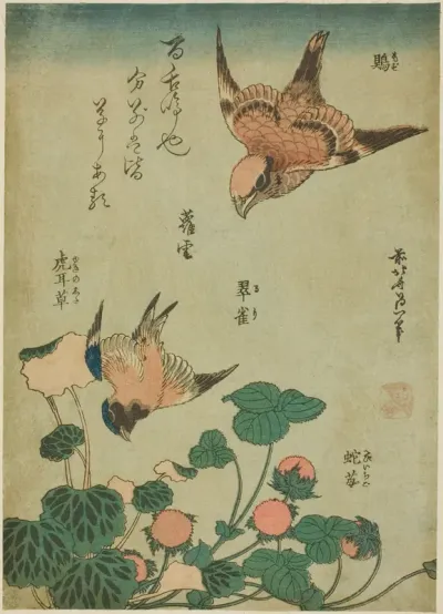 Bull-headed Shrike and Bluebird with Saxifrage and Wild Strawberry (Mozu, ruri, yukinoshita, hebi-ichigo), from an untitled series of flowers and birds