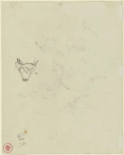 Bull's head