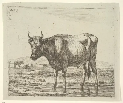 Bull Standing in Water, plate 6 from "Different Animals"