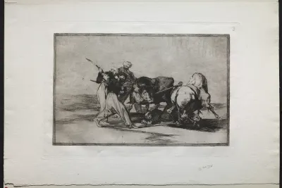 Bullfights: The Moors Settled in Spain, Giving Up the Superstitions of the Qur’an, Adopted this Art of Hunting, and Spear a Bull in the Open
