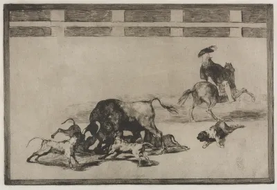 Bullfights:   They Loose Dogs on the Bull