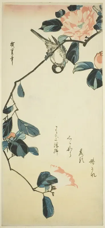 Bullfinch on camellia branch