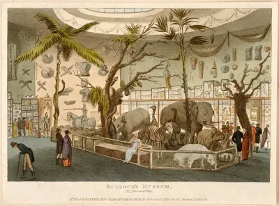 Bullock's Museum, (Egyptian Hall or London Museum), Piccadilly: the interior