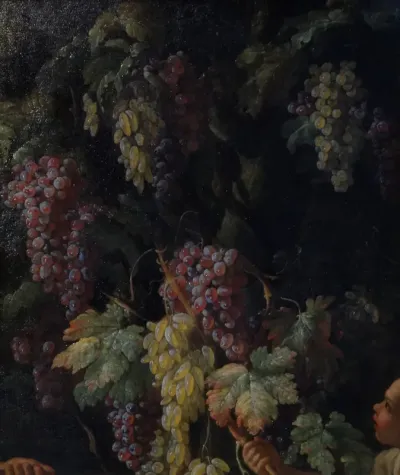 Bunches of Grapes around a Tree Trunk