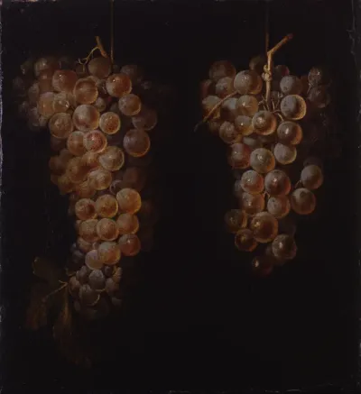 Bunches of Grapes