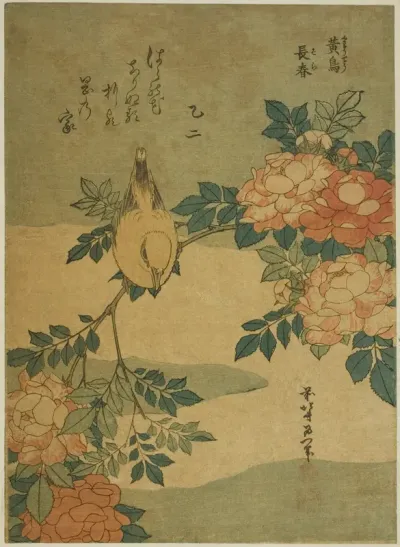 Bush Warbler and Rose (Kocho, bara), from an untitled series of flowers and birds