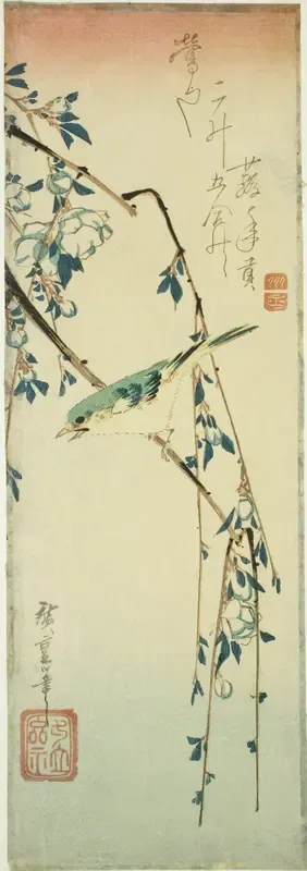 Bush warbler on plum branch