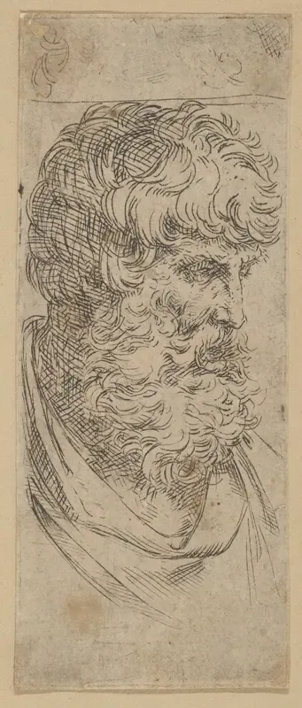 Bust of a Bearded Man