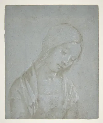 Bust of a Young Woman