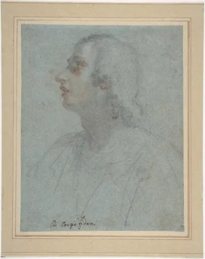 Bust of a Youth Looking to Upper Left (recto); Study of Drapery (verso)